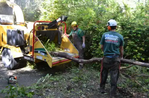 tree services Melbourne Village